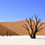 The Most Barren and Lifeless Places on Earth