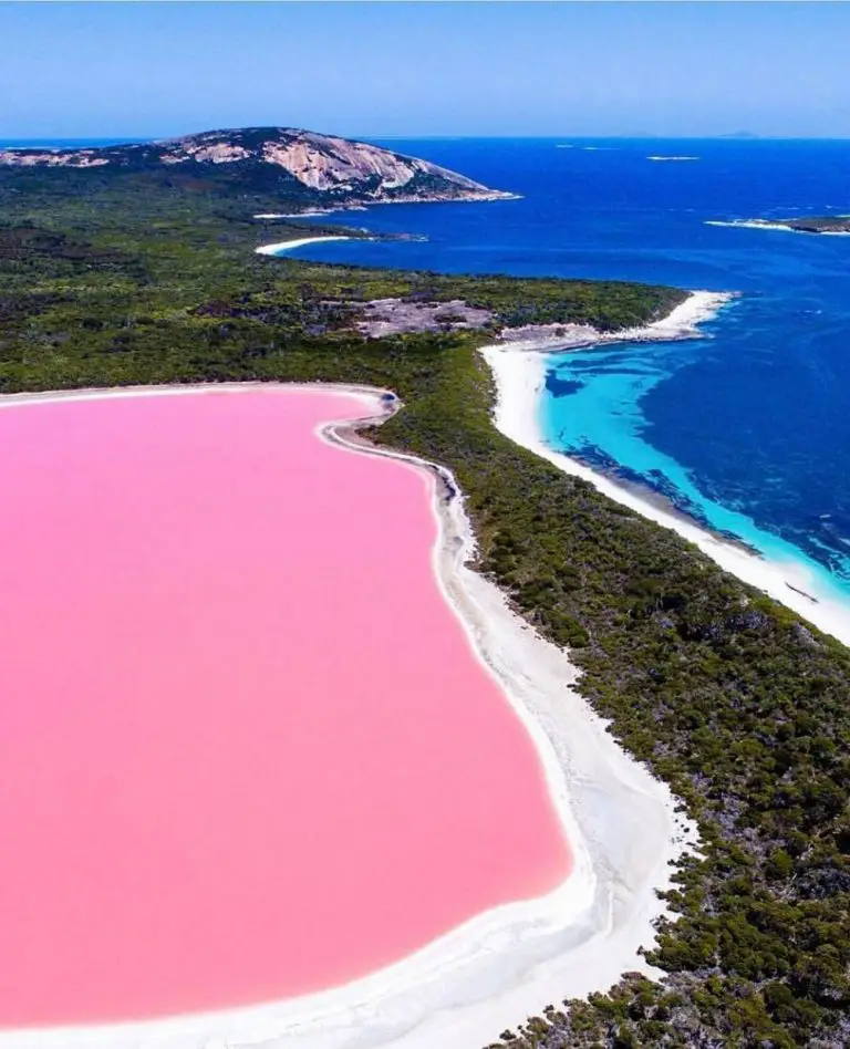 Pink Lake Hiller And Hutt Lagoon Everything You Need To Know