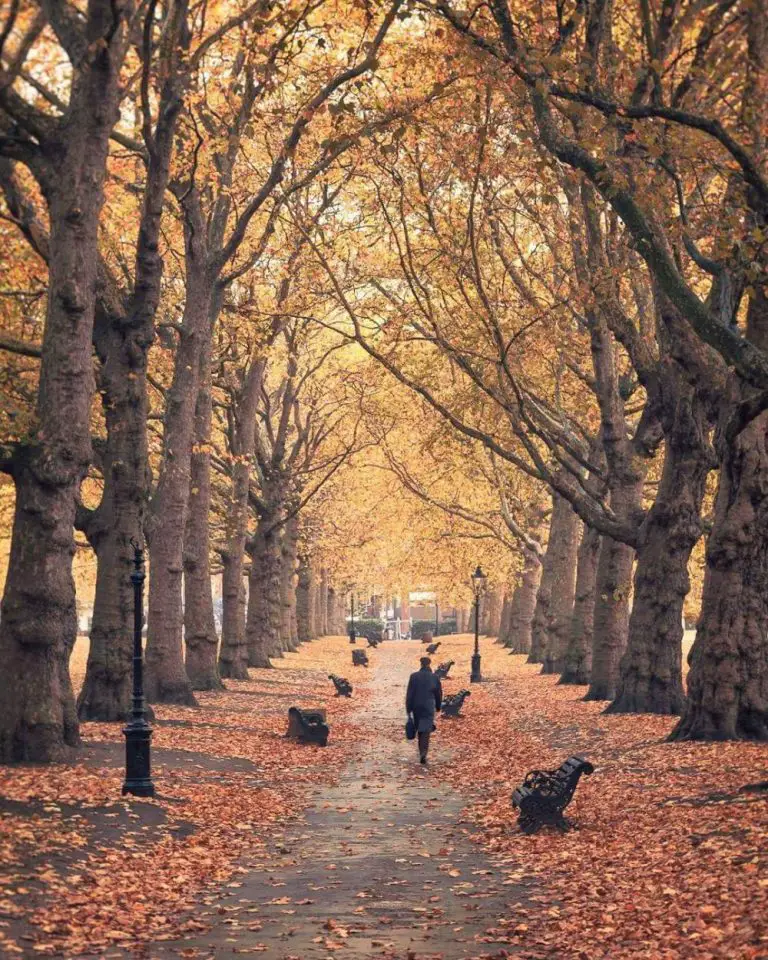 10 Stunning Autumn Photos of London