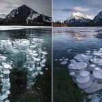 Frozen Methane Bubbles that Transform Abraham Lake