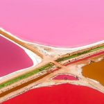 Pink lake Hiller and Hutt Lagoon – everything you need to know