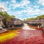 Caño Cristales – The River of 5 Colours