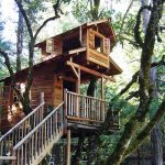 15 Most Incredible Tree Houses in the World