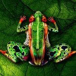 These Body Art Photos Will Blow Your Mind