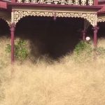 Giant Tumbleweed Takes Over Australian Town