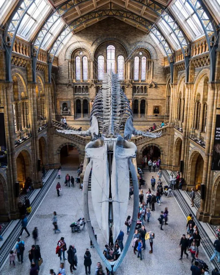 10 Free Most Popular Museums to visit in London